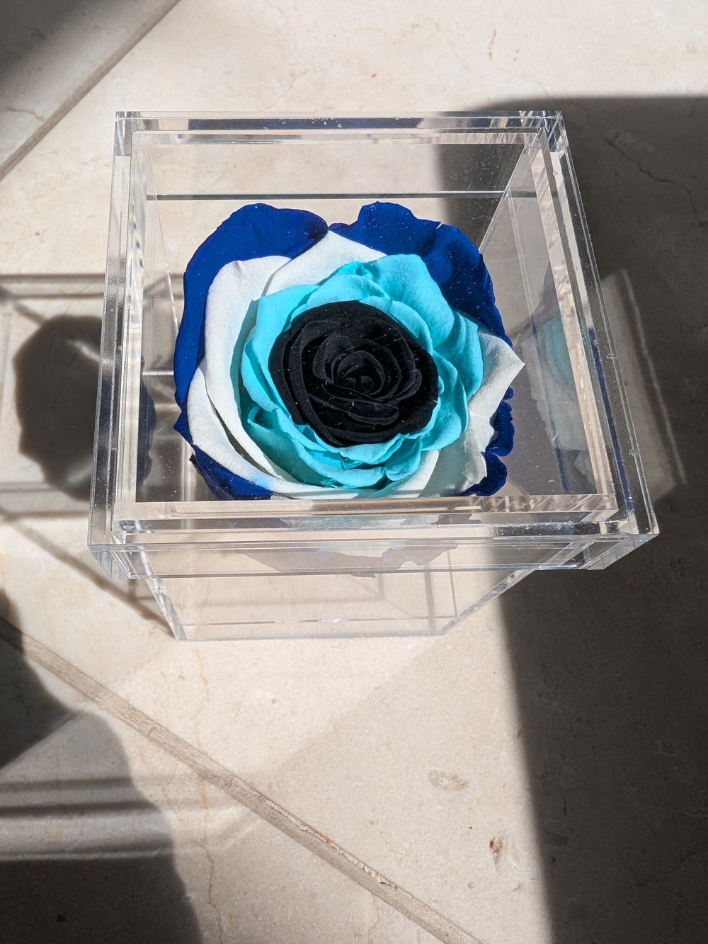 Blue, Teal & Black Preserved Rose in Clear Acrylic Box Evil Eye